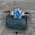 The "Alocasia" in platinum with 1.42-Carat Montana Sapphire