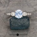 The "Carina" ring in 14k white gold with 0.95-Carat Montana Sapphire