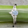The "Carina" ring in 14k white gold features a 0.95-carat Montana sapphire, accented by pear-shaped and round white stones, shown on a green leaf background.