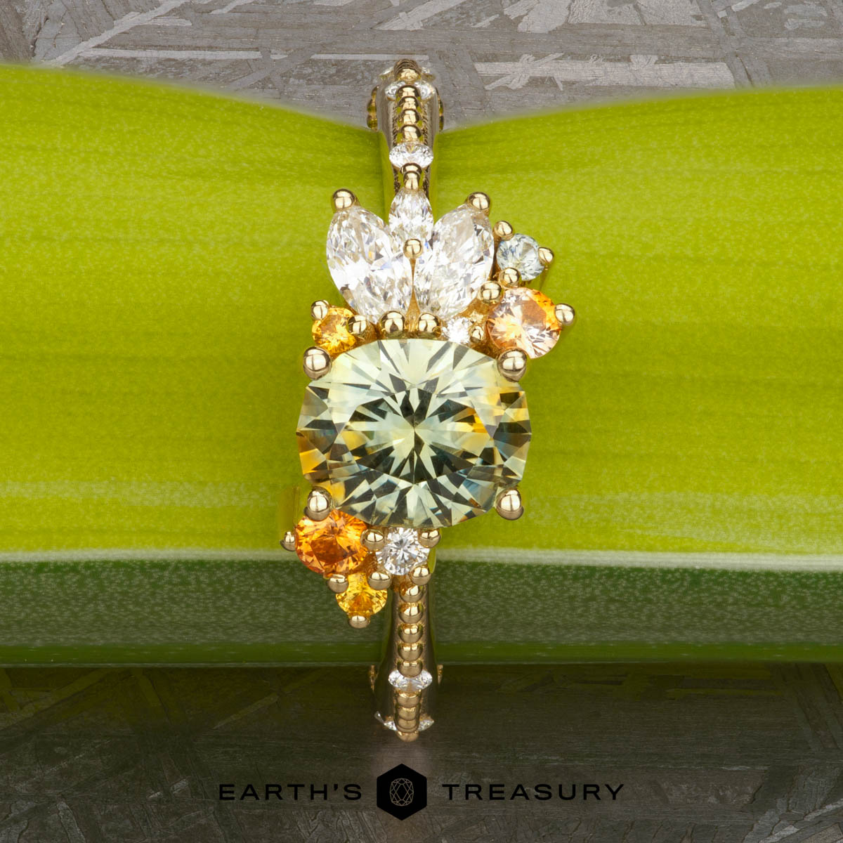 The “Ilana” Cluster Ring - Earth's Treasury