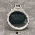 The "Isabella" Ring in platinum with 1.08-Carat Montana Sapphire