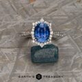The "Lorelei" ring in platinum with 3.59-carat Ceylon sapphire