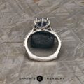 The "Lorelei" ring in platinum with 3.59-carat Ceylon sapphire
