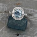 The "Alexia" ring in 14k white gold with 0.99-Carat Montana Sapphire