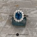 The "Cassandra" ring in platinum with 1.72-Carat Montana Sapphire