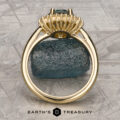 The "Cassandra" ring in 18k yellow gold with a 1.79-carat Montana sapphire is displayed upright on a dark rough stone atop a textured gray surface, with the "Earth's Treasury" logo and text at the bottom.