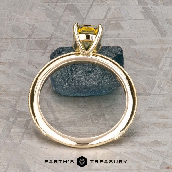 The Milgrain "Clarice" ring in 14K yellow gold with 1.69-carat Australian sapphire The Milgrain "Clarice" ring in 14K yellow gold with 1.69-carat Australian sapphire