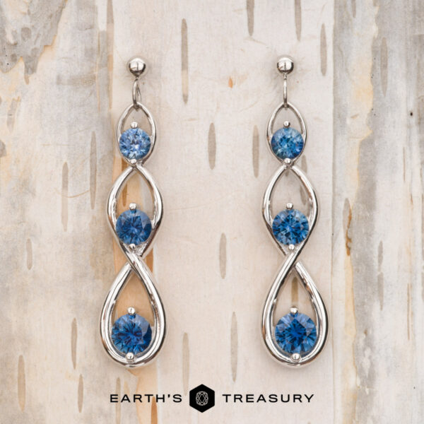 Deluxe Continuum Montana Sapphire Drop Earrings Deluxe Continuum Montana Sapphire Drop Earrings