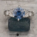 The “Briar” in Platinum with 2.05-Carat Montana Sapphire