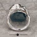 The "Linden" Ring in Platinum with 1.76-Carat Montana Sapphire