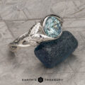 The "Linden" Ring in Platinum with 1.76-Carat Montana Sapphire
