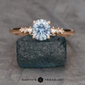 The "Paloma" ring in 14k rose gold with 0.81-carat Montana sapphire