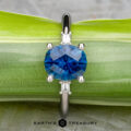 The "Finella" ring in platinum, featuring a 2.13-carat Montana sapphire and small clear side stones, is displayed on a green leaf with the "EARTH'S TREASURY" logo at the bottom.