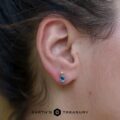 Premium Accented Pear-Cut Montana Sapphire Earrings (Heated)