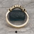 The "Clematis" band in 14k yellow gold