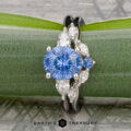 The "Multiflora" ring in platinum features a 1.82-carat Ceylon sapphire, shown with the "Multiflora" band in platinum, displayed on a green multiflora stem.