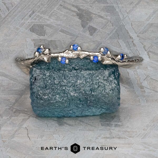 A bracelet in platinum enhanced with blue gemstones is placed on a textured blue background, capturing the calming rhythms associated with the music of the Juniper Band. Below it, the name "Earth's Treasury" is gracefully displayed, reflecting the harmonious spirit of Juniper music.