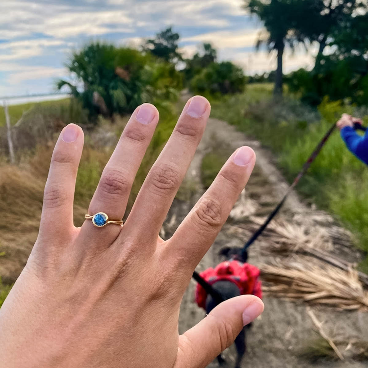 The "Milos" Ring in 14K yellow gold with 1.02-Carat Montana Sapphire