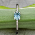 A platinum "Winnie" ring featuring a 0.95-carat Montana sapphire, beautifully set against a vibrant green leaf backdrop in a twisted design.