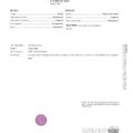 ET3595 GIA report