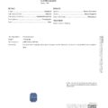 ET3596 GIA report