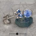 A pair of Medium Blue Sapphire Earrings, 5.5mm (Heated) with silver settings are displayed, with one earring standing upright and the other lying on its side on a textured surface. The text "EARTH'S TREASURY" and a hexagon logo are visible at the bottom of the image.