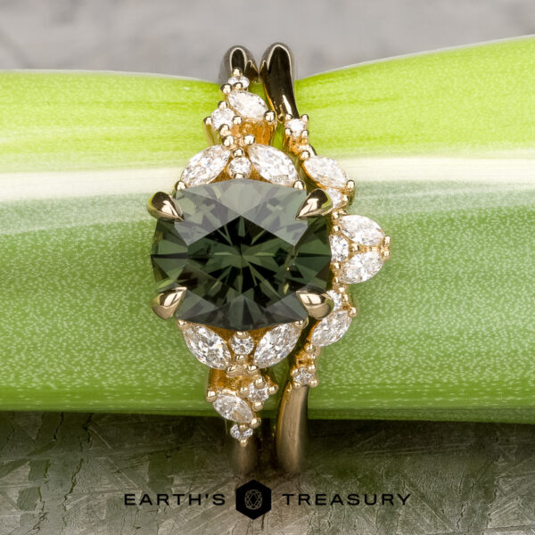 The Holly band in 14k yellow gold The Holly band in 14k yellow gold