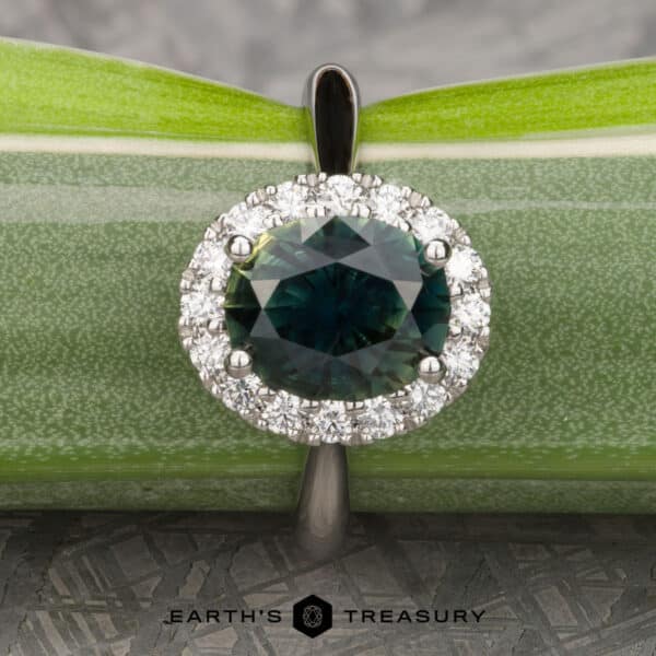 The Pave-Set Valeria ring in platinum with 2.59-carat Australian sapphire