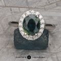 The Pave-Set Valeria ring in platinum with 2.59-carat Australian sapphire