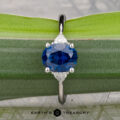 The "Vesta" ring in platinum, featuring a 2.44-carat Montana sapphire and two side stones, rests on a green leaf. The "Earth's Treasury" logo appears at the bottom.