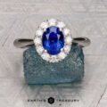 The Pave "Valeria" ring in platinum features a 1.41-carat Ceylon sapphire and pave-set diamonds, shown on a rough blue stone with engraved patterns in the background.