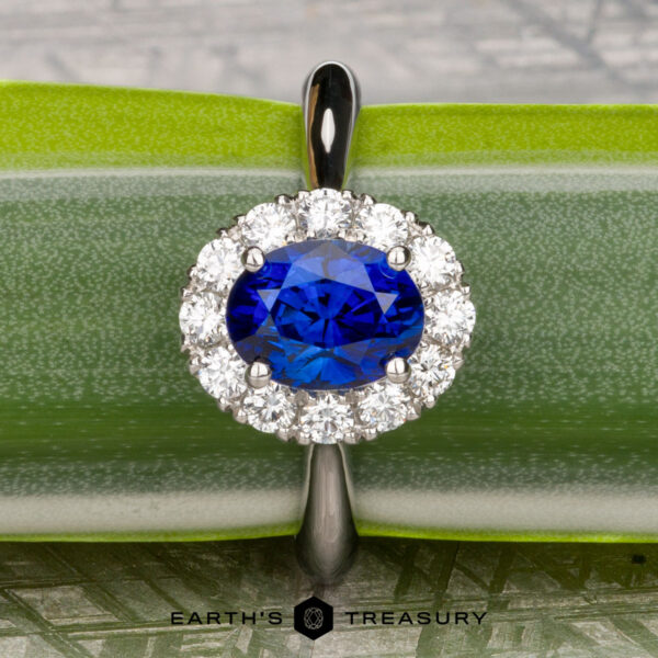The Pave "Valeria" ring in platinum with 1.41-carat Ceylon sapphire The Pave "Valeria" ring in platinum showcases a 1.41-carat Ceylon sapphire accented by pavé diamonds, beautifully displayed on a green leaf.