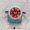 The Pave "Valeria" ring features a 3.93-carat round tourmaline encircled by pave-set stones, set in platinum, and displayed on a textured blue stone.