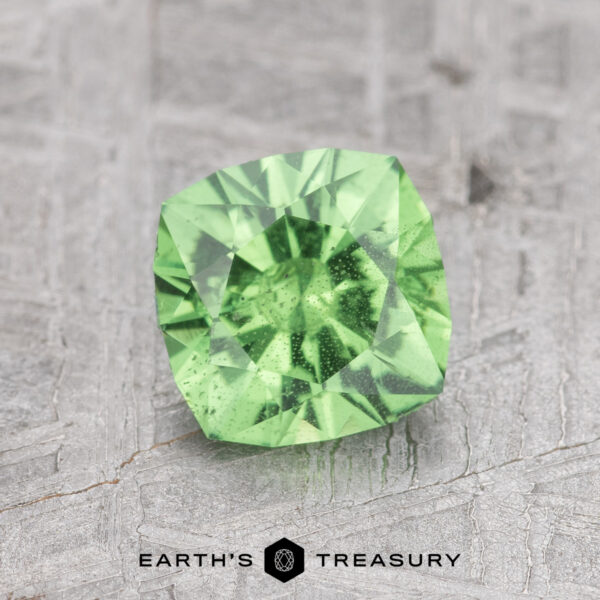 1.20-Carat Tsavorite Garnet A 1.20-carat Tsavorite Garnet rests on a textured gray surface, with the label "Earth's Treasury" at the bottom.