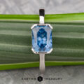 The "Lina" ring in 14k white gold with a 2.34-carat Montana sapphire is shown on a green striped leaf, with "Earth's Treasury" text at the bottom.