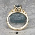 Gold ring named "Celosia" in 14k yellow gold with a 1.86-carat Montana sapphire, displayed on a textured surface background. The name "Earth's Treasury" appears at the bottom.