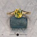 The "Antoinette" ring in 14k yellow gold, set with a 1.69-carat Australian sapphire, stands upright on a rough blue stone against a patterned backdrop, with the "EARTH'S TREASURY" logo below.