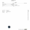 The JM1220L GIA Report verifies a natural blue spinel, cushion shape, 1.70 carats, transparent, no indications of heating, and includes a sample image of the gemstone.