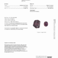 The PM2531 GIA Report certifies a 2.18 ct purple-pink sapphire from Montana, USA, including a stone image, detailed description, measurements, and verification of its origin and any treatments.