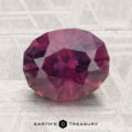 A 3.06-carat round, faceted Montana sapphire in a purple-red hue is displayed on a textured surface with the text "EARTH'S TREASURY" below it.