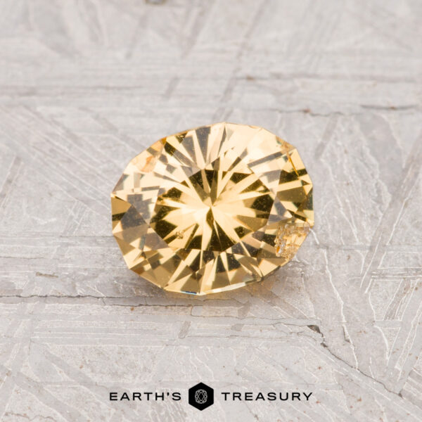 0.87-Carat Grossular Garnet A round, faceted 0.87-carat Grossular Garnet gemstone is displayed on a textured gray surface with the text "EARTH'S TREASURY" at the bottom.