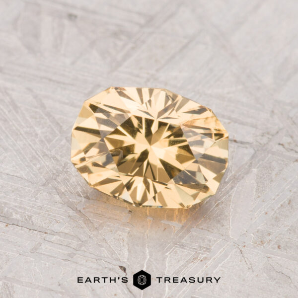 1.21-Carat Grossular Garnet A 1.21-carat grossular garnet gemstone is shown on a textured gray background, with "Earth's Treasury" displayed at the bottom.