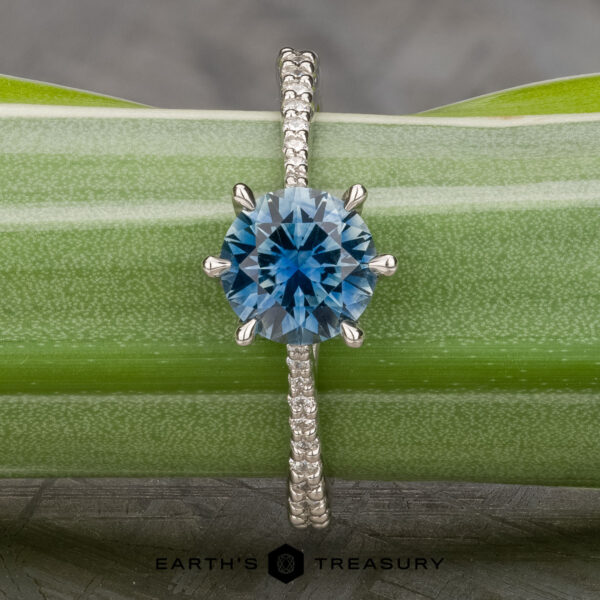 The Pave "Elenin" ring in platinum with 1.21-carat Montana sapphire The Pave "Elenin" ring in platinum features a 1.21-carat Montana sapphire and sparkling pavé diamonds on the band, shown resting on a green leaf.