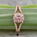 The "Senna" ring features a 2.20-carat round pink Umba sapphire set in 14k rose gold with a split diamond band, shown on a green striped leaf.