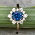 The "Angelica" ring in 14k white and yellow gold features a 2.30-carat Montana sapphire center surrounded by ten clear diamonds, displayed on a green-striped surface.