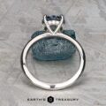 The "Tiara" ring in platinum features a 2.00-carat Montana sapphire accented by small clear stones, displayed upright on a textured gray stone, with the "Earth's Treasury" logo at the bottom.