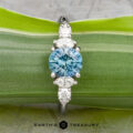 The "Tigrina" ring in platinum features a 1.25-carat round Montana sapphire center, accented by three clustered white stones on each side, shown against a green leaf background.