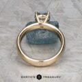 The "Davina" ring in 14k yellow gold, featuring a 1.43-carat Montana sapphire, is displayed upright on a textured gray surface with the Earth's Treasury logo below.