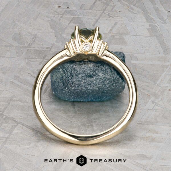 The "Wren" ring in 14k yellow gold with 0.91-carat Montana sapphire The "Wren" ring in 14k yellow gold features a 0.91-carat Montana sapphire in a pronged setting with a small white diamond, displayed upright on rough blue stone. The "Earth's Treasury" logo is shown at the bottom.