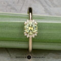 The "Wren" ring in 14k yellow gold features a 0.91-carat Montana sapphire surrounded by a halo of diamonds, displayed on a green leaf.
